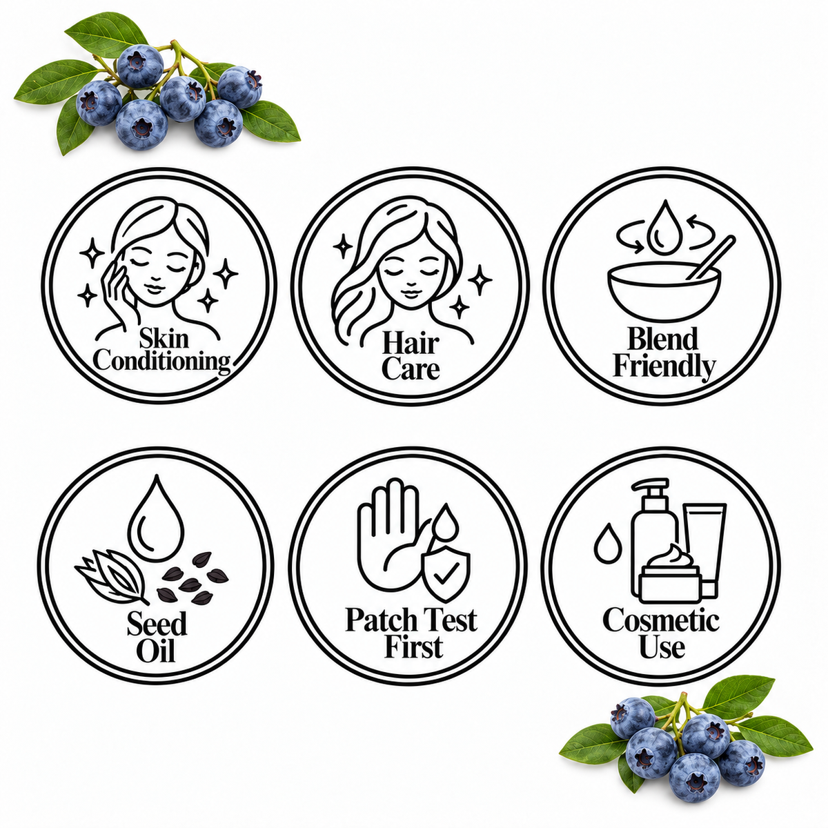 Blueberry Seed Oil, six-circle feature page
