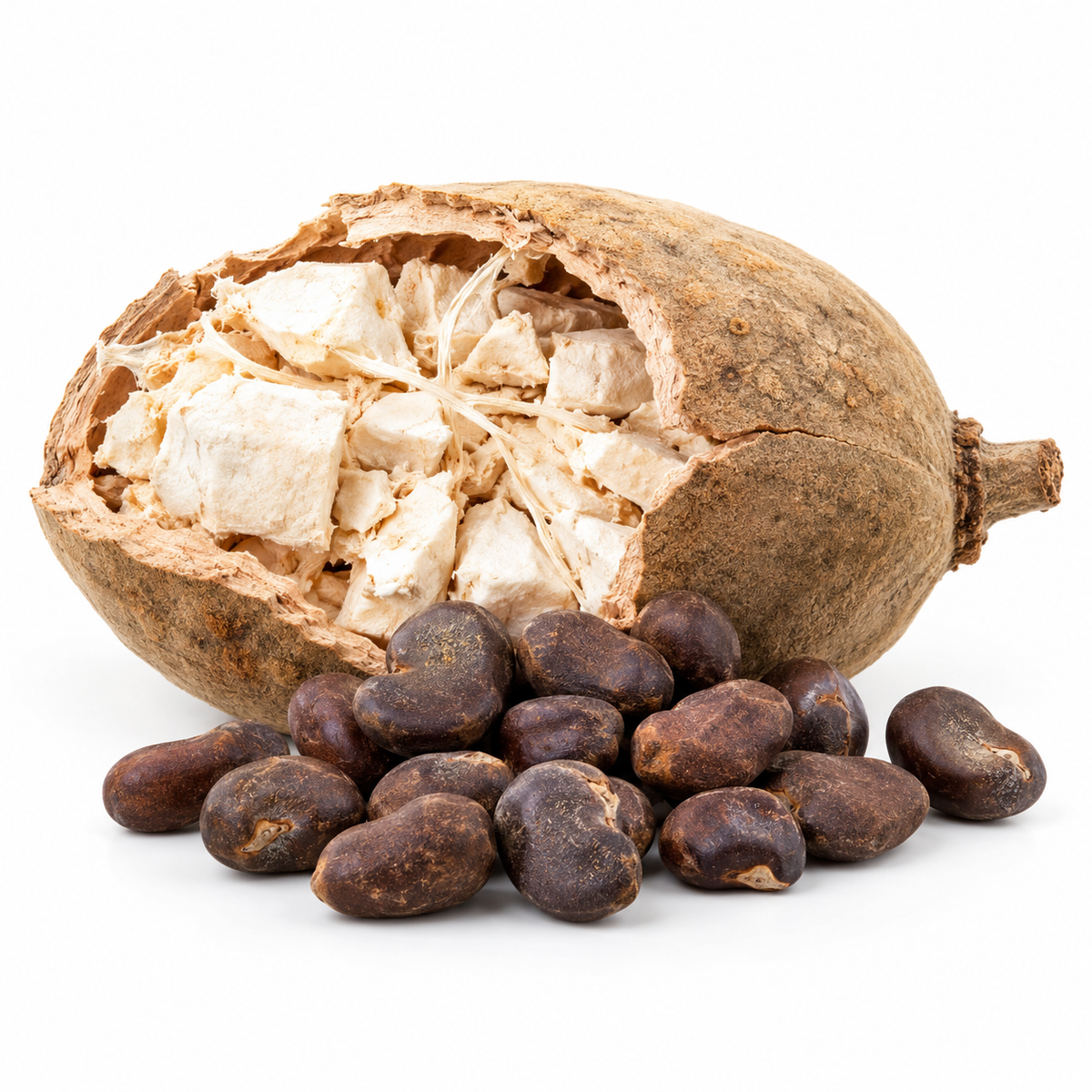 Baobab seeds beside an opened woody baobab fruit, on a white background.