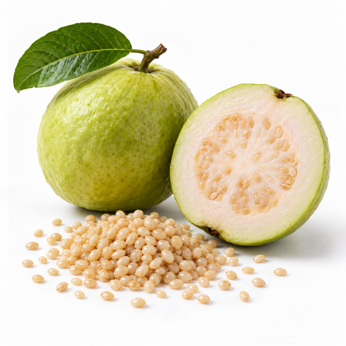 Guava fruit and seeds used to produce Guava Oil