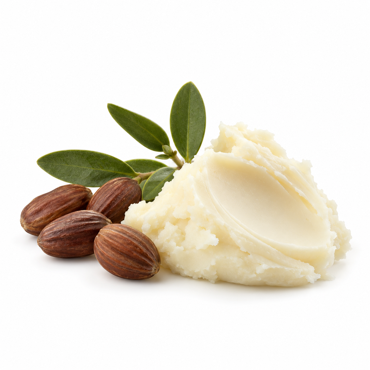 Jojoba butter material with jojoba seeds