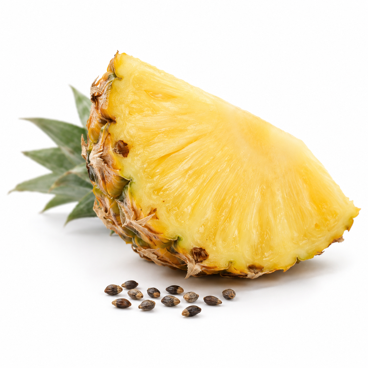 Pineapple fruit and true seeds, source of pineapple seed oil