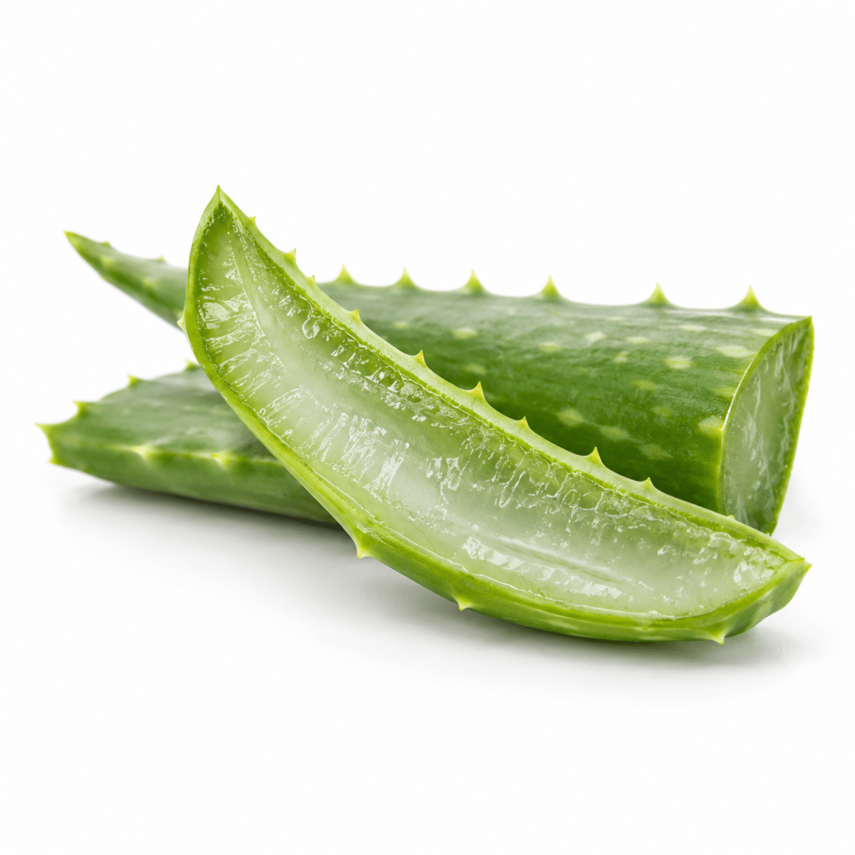 Aloe Vera Butter - Wholesale - The SkinScience Company