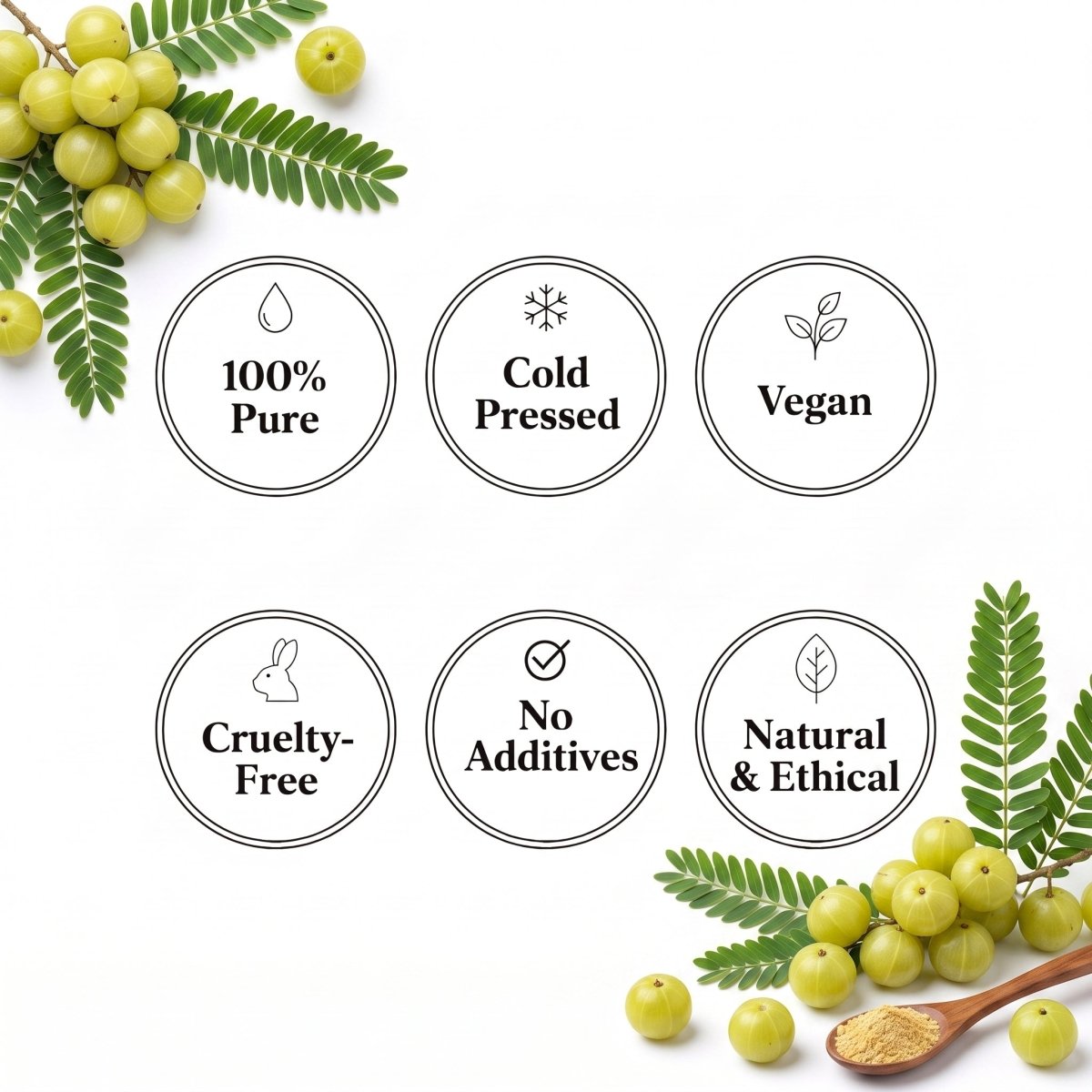 Amla Oil - The SkinScience Company