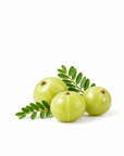 Amla Oil - Wholesale - The SkinScience Company