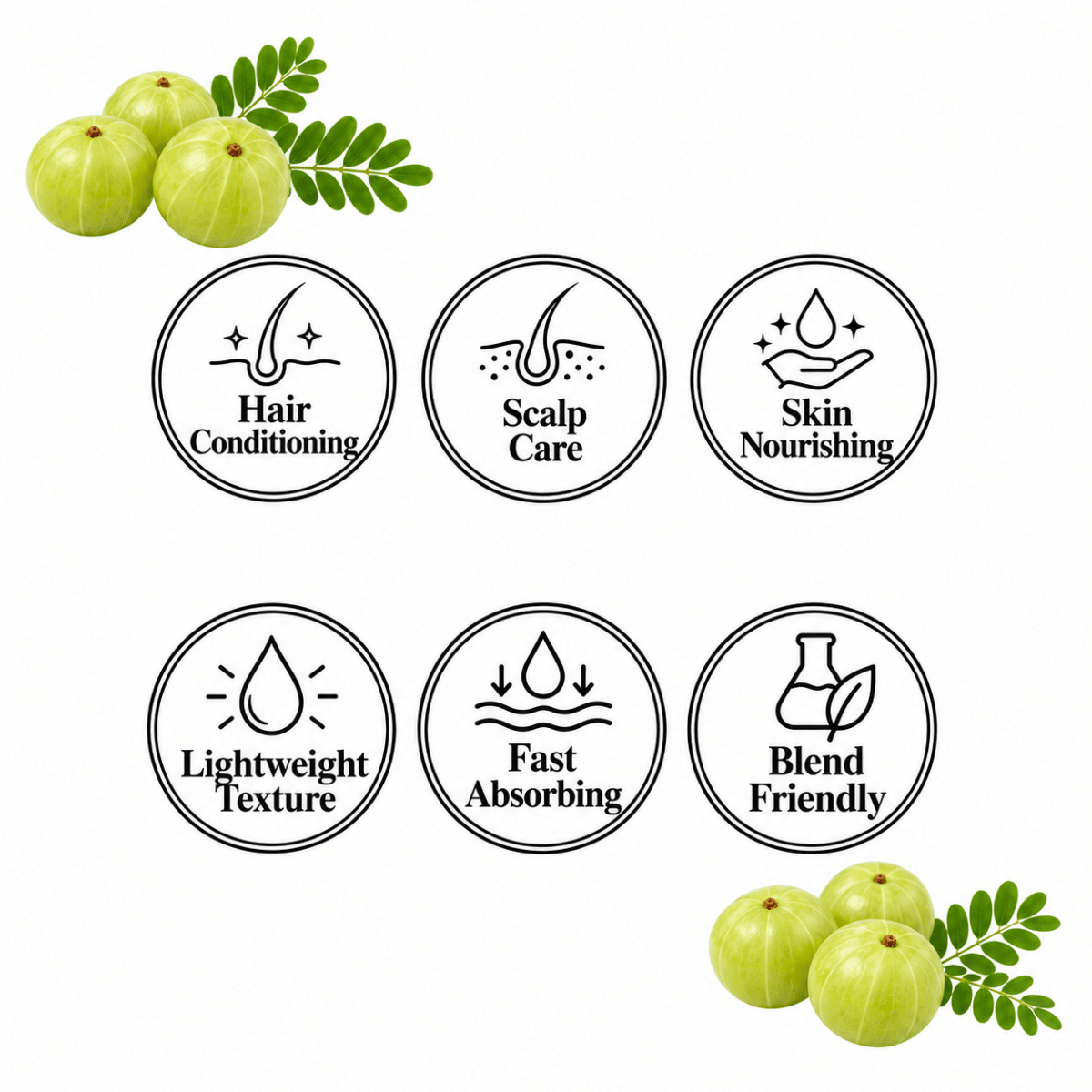 Amla Oil - Wholesale - The SkinScience Company