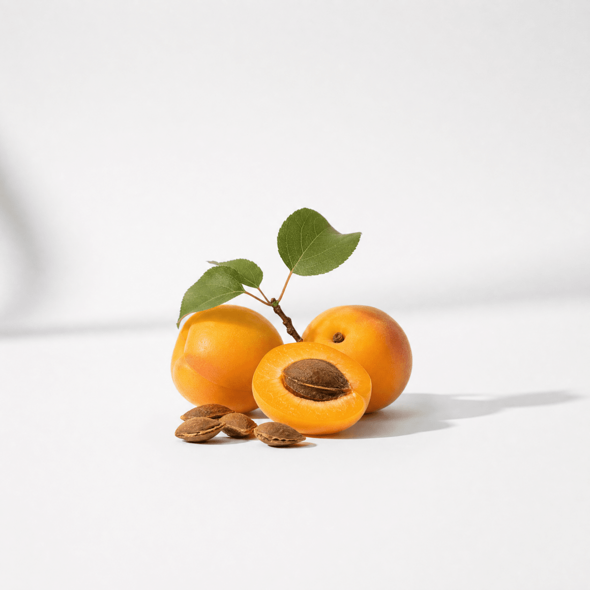 Apricot Kernel Oil - The SkinScience Company