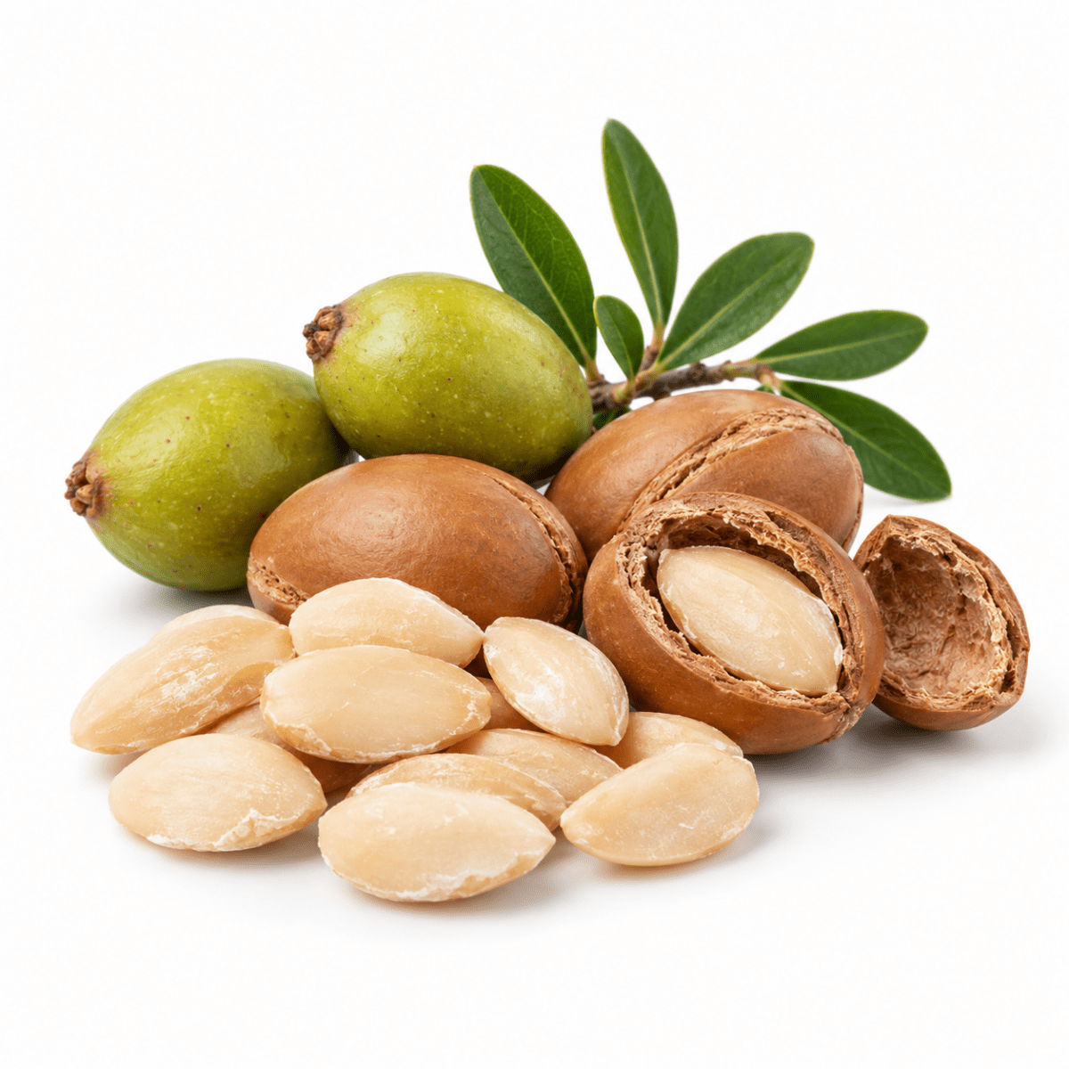 Argan Butter - Wholesale - The SkinScience Company
