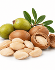 Argan Butter - Wholesale - The SkinScience Company