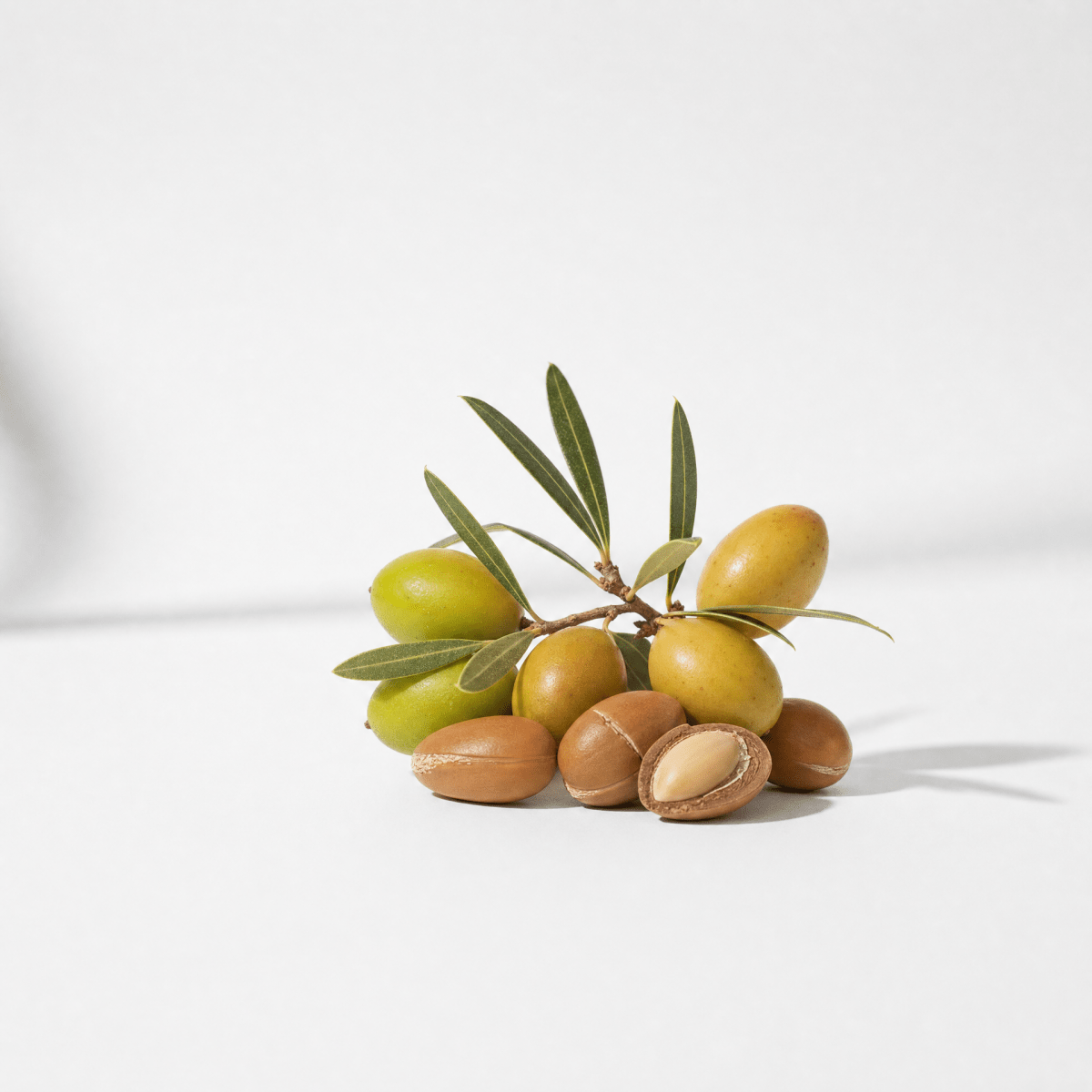 Argan Oil - The SkinScience Company