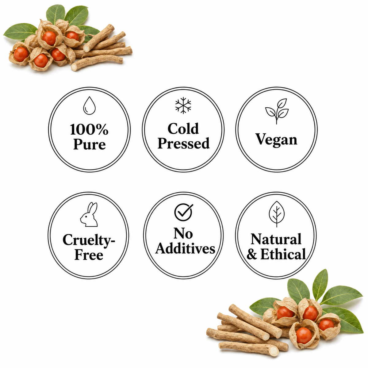Ashwagandha Oil - The SkinScience Company