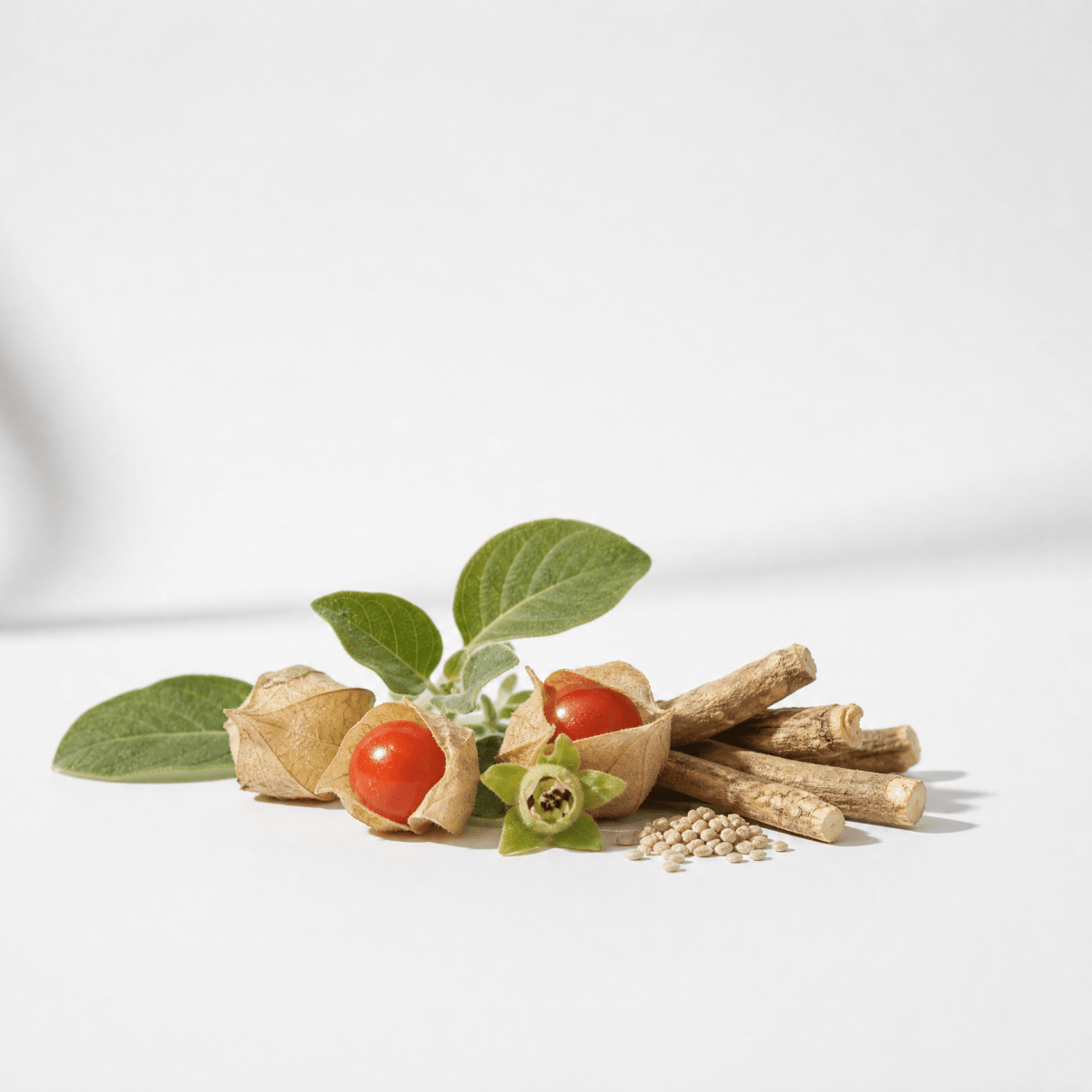 Ashwagandha Oil - The SkinScience Company