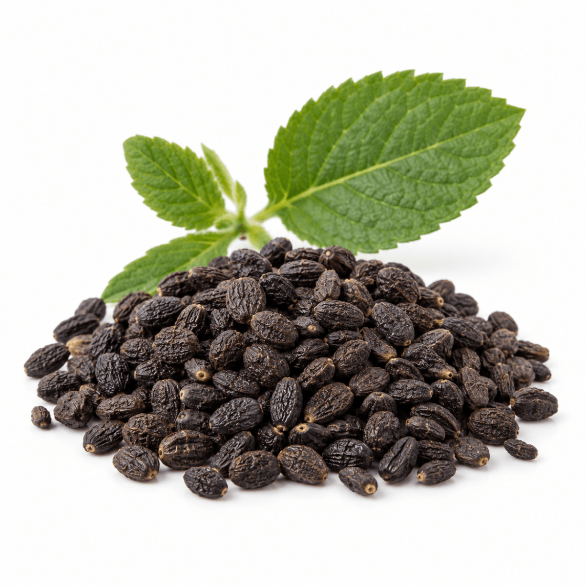 Bakuchi (Babchi) Oil - Wholesale - The SkinScience Company