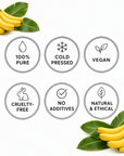 Banana Seed Oil - The SkinScience Company