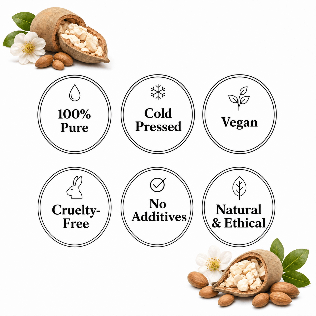 Baobab Seed Oil - The SkinScience Company