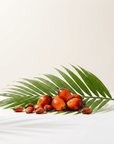 Batana Oil - The SkinScience Company