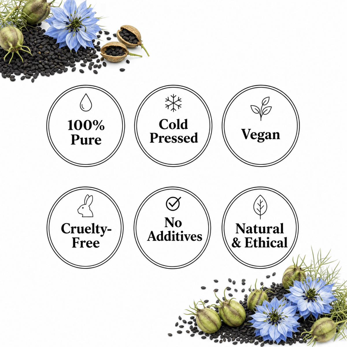 Black Cumin Seed Oil (Kalonji) - The SkinScience Company