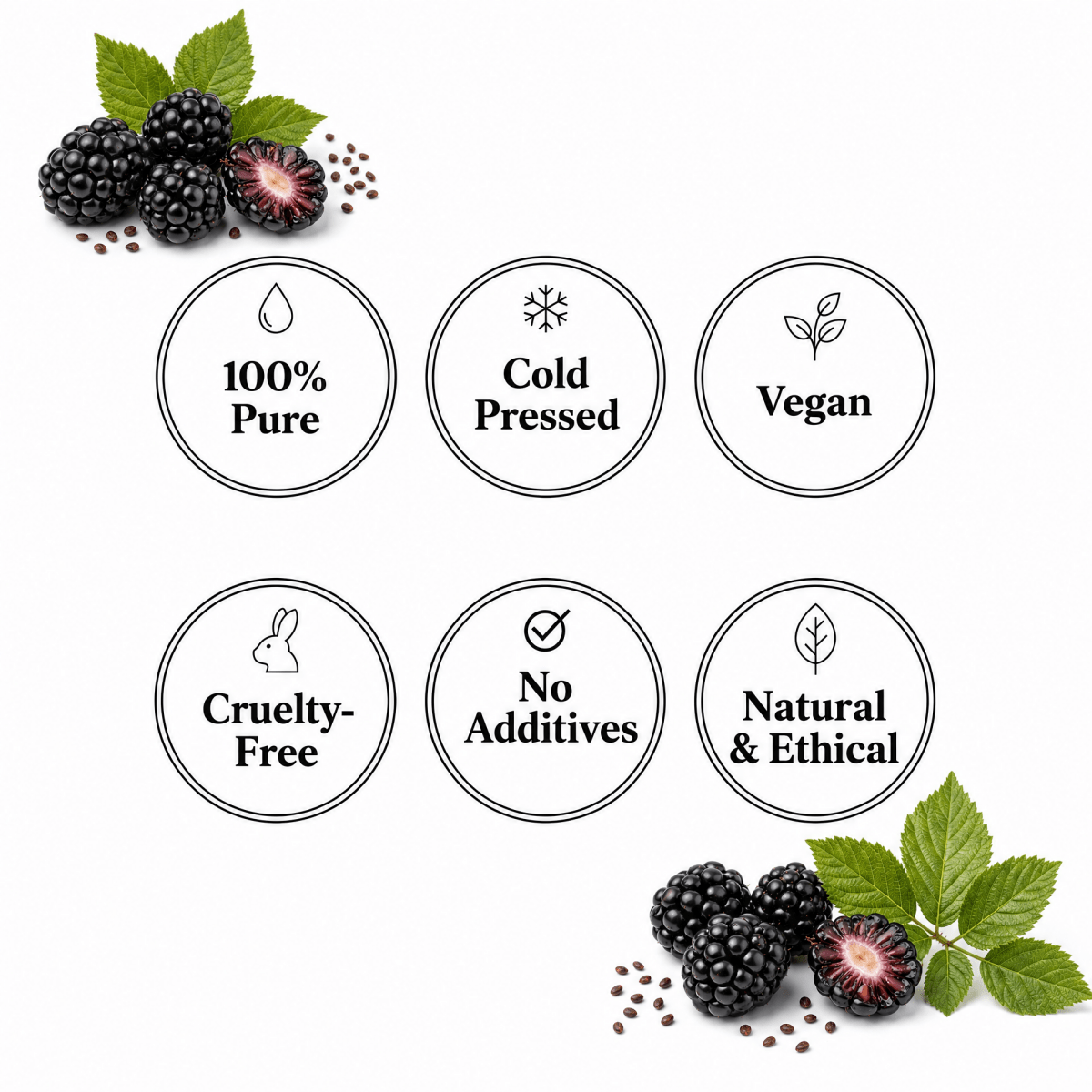 Blackberry Seed Oil - The SkinScience Company