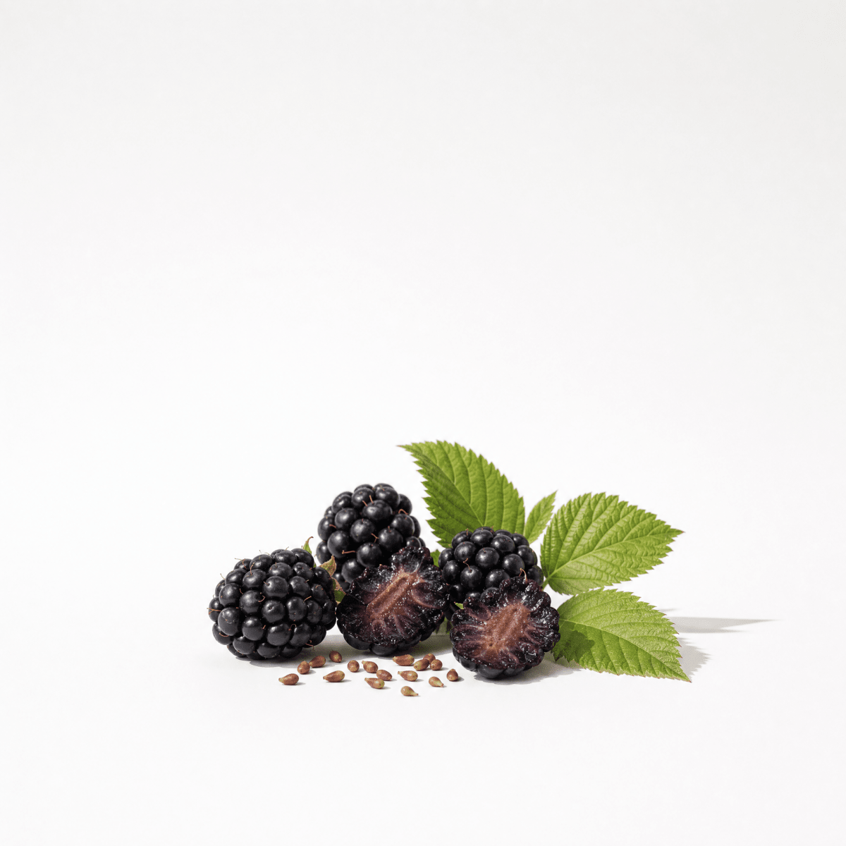 Blackberry Seed Oil - The SkinScience Company
