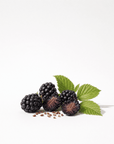 Blackberry Seed Oil - The SkinScience Company