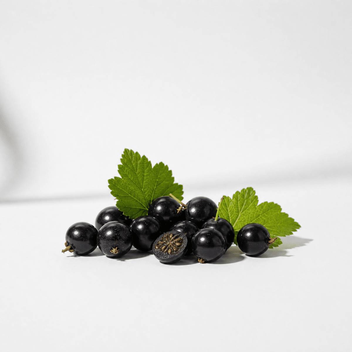 Blackcurrant Seed Oil - The SkinScience Company