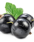 Blackcurrant Seed Oil - The SkinScience Company