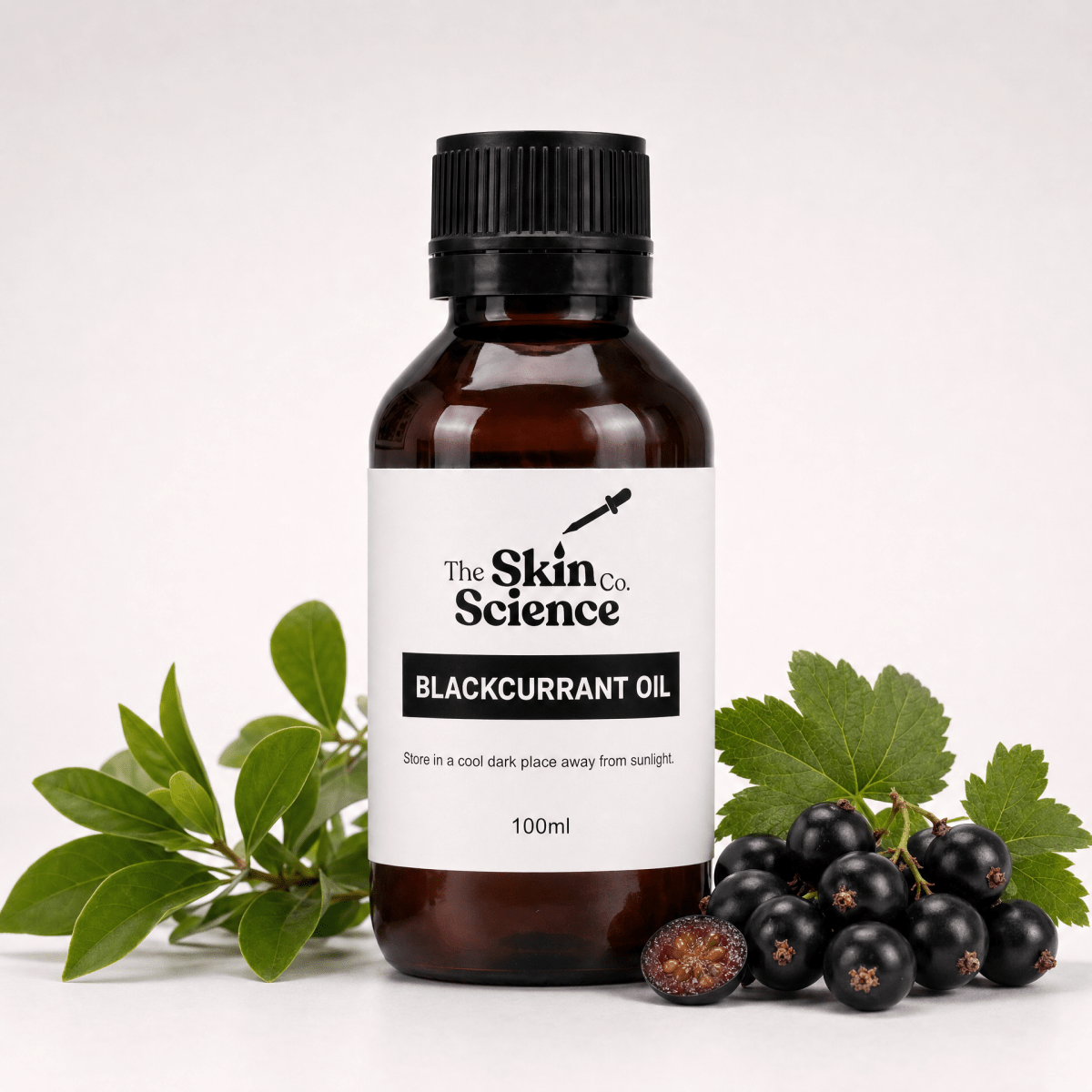 Blackcurrant Seed Oil - The SkinScience Company