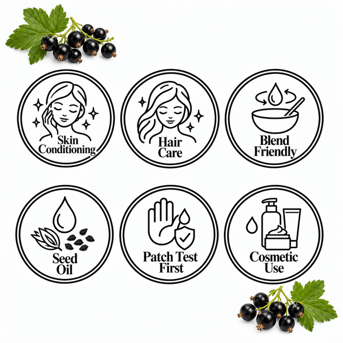 Blackcurrant Seed Oil, cosmetic-grade carrier oil | The Skin Science Company