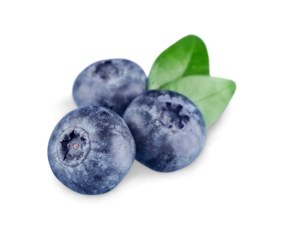 Blueberry Seed Oil - Wholesale - The SkinScience Company