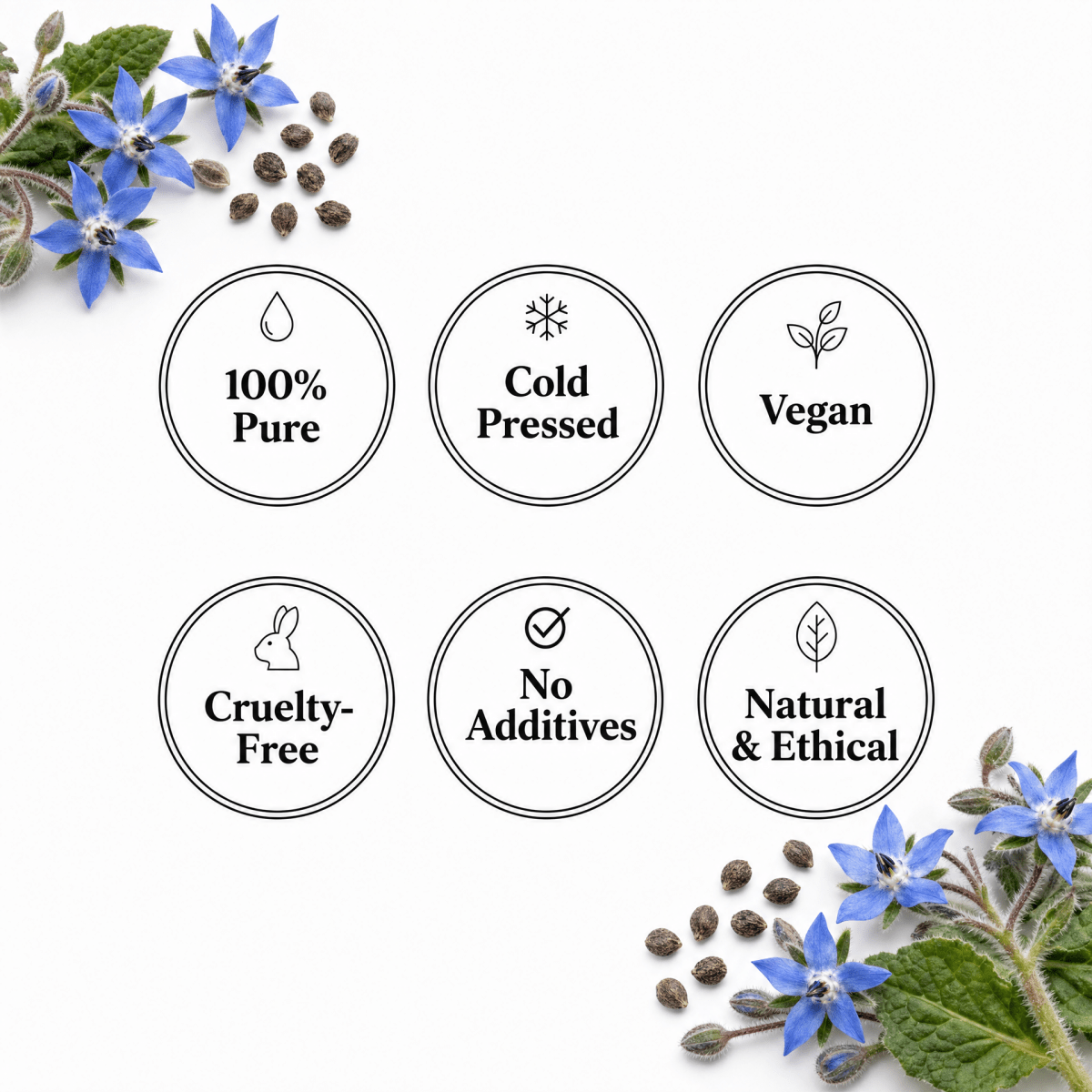 Borage Seed Oil - The SkinScience Company