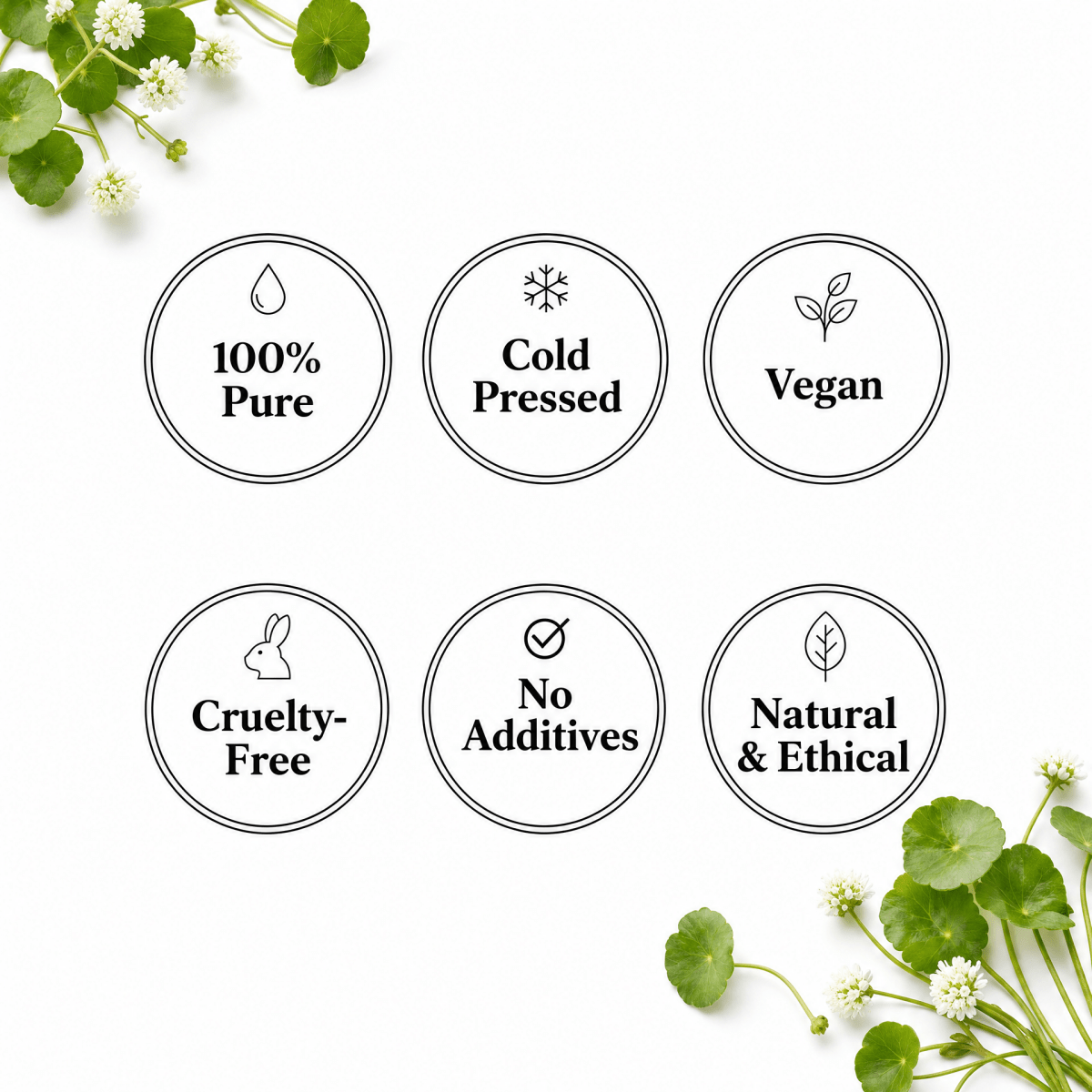 Brahmi Oil - The SkinScience Company
