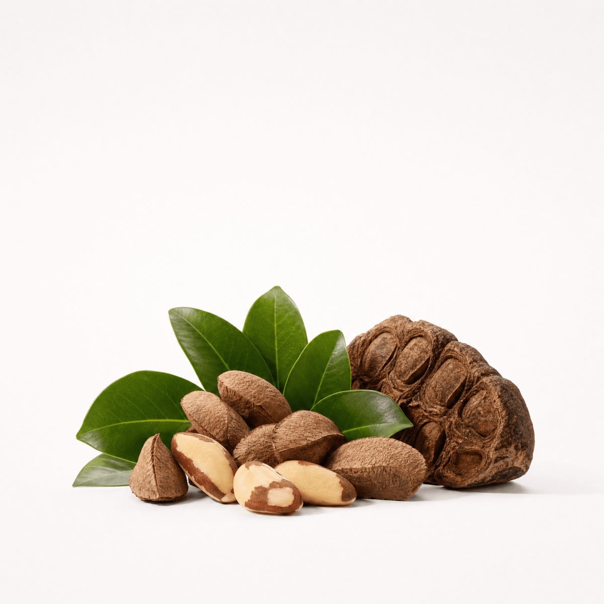 Brazil Nut Oil - The SkinScience Company