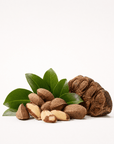 Brazil Nut Oil - The SkinScience Company