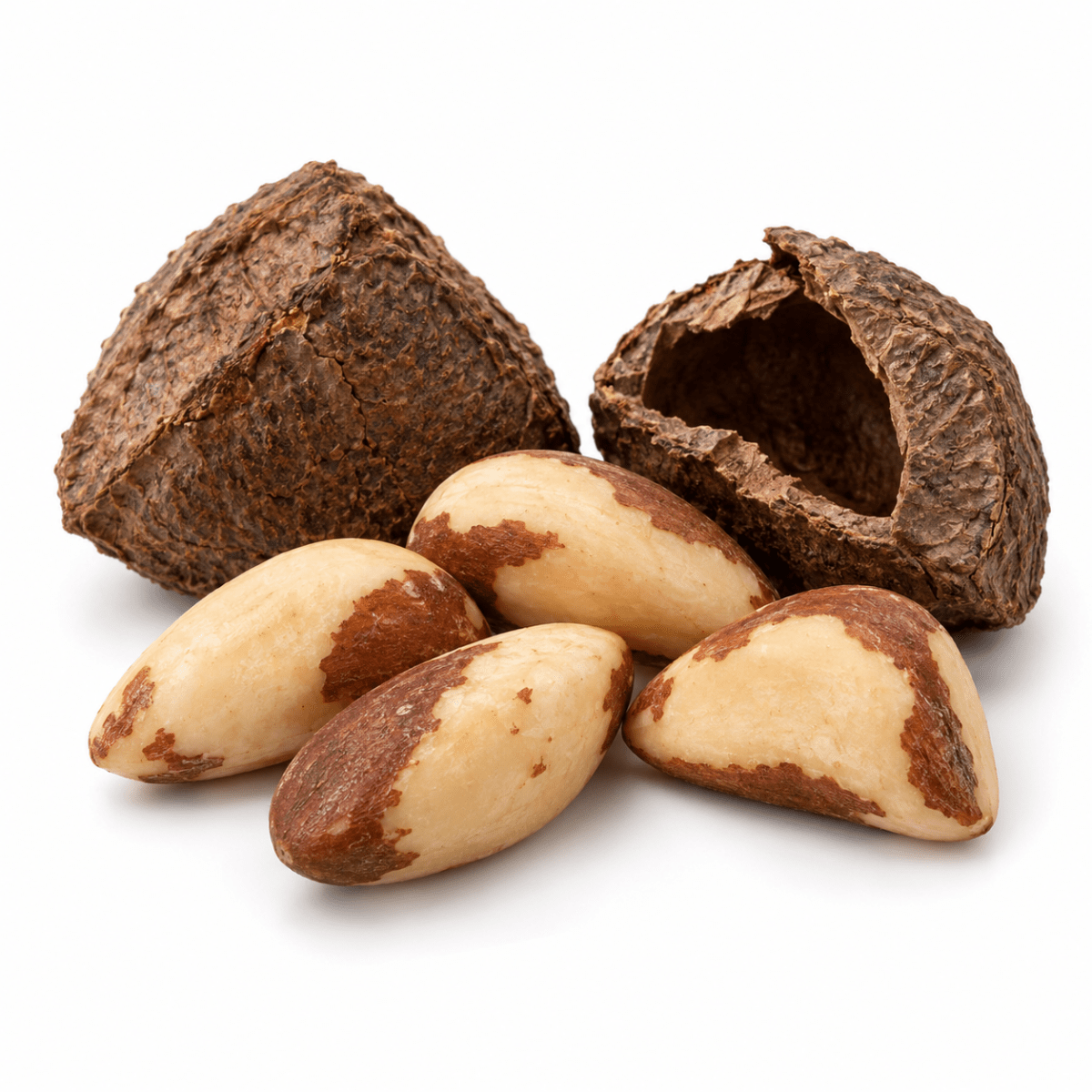 Brazil Nut Oil - Wholesale - The SkinScience Company