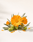 Calendula Infused Oil - The SkinScience Company