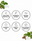 Camphor White Essential Oil - Wholesale - The SkinScience Company