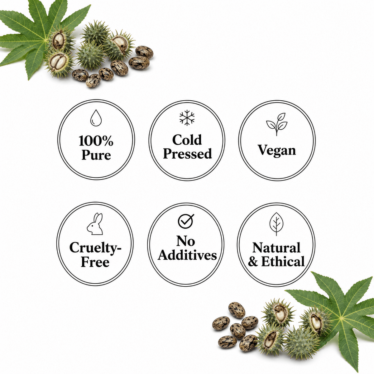 Castor Oil - The SkinScience Company