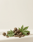 Castor Oil - The SkinScience Company