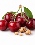 Cherry Kernel Oil - Wholesale - The SkinScience Company