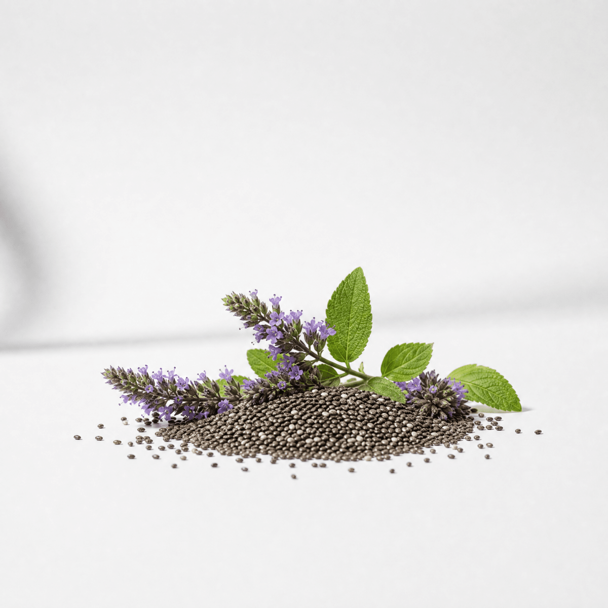 Chia Seed Oil - The SkinScience Company