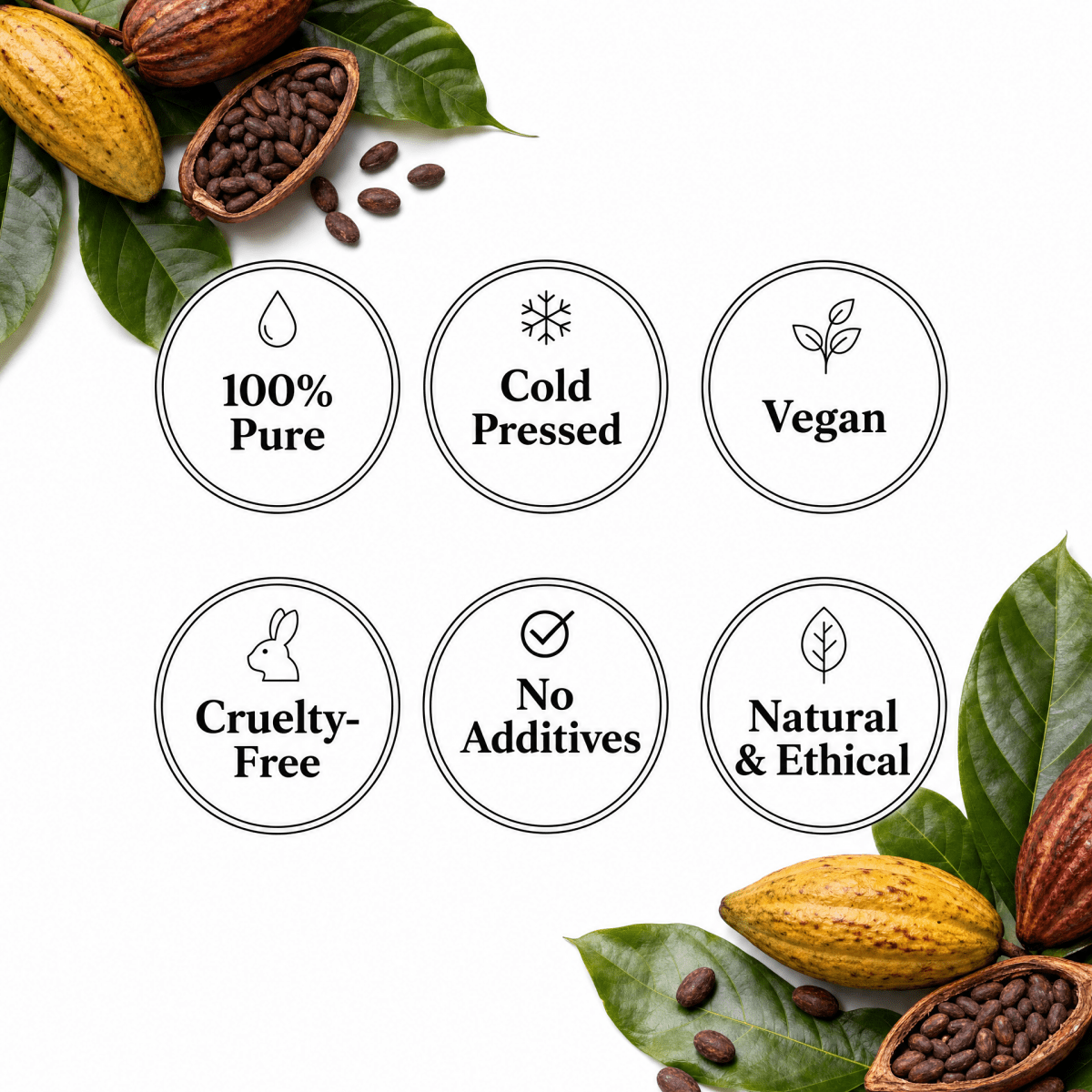 Cocoa Bean Oil - The SkinScience Company