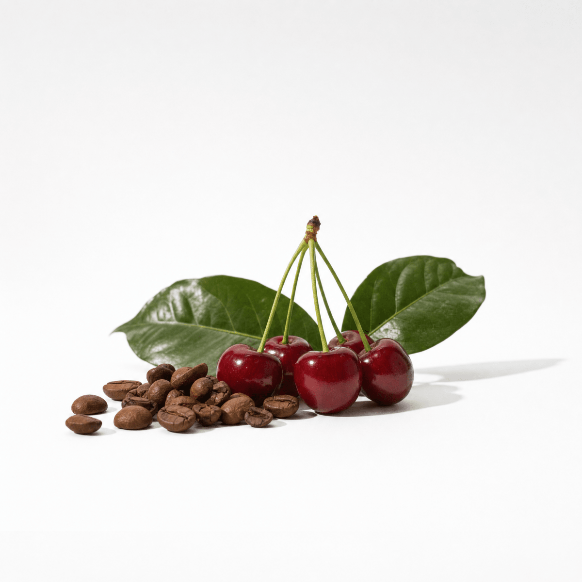 Coffee Oil - The SkinScience Company