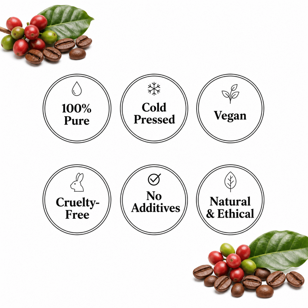 Coffee Oil - The SkinScience Company