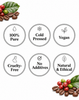 Coffee Oil - The SkinScience Company