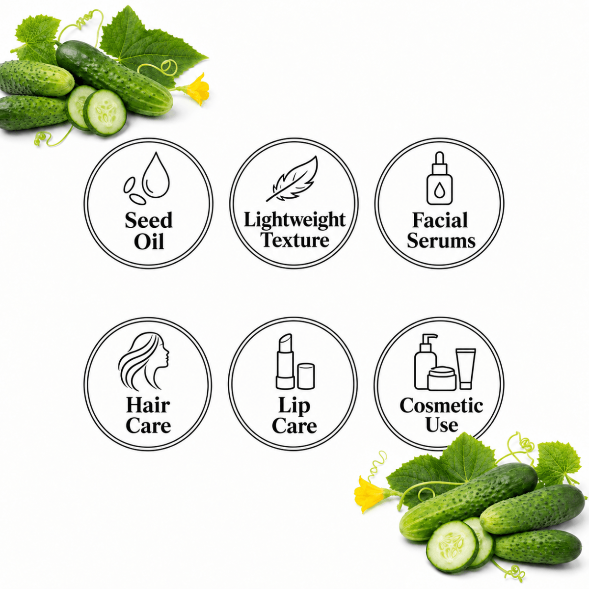Cucumber Oil — Seed Oil, Lightweight Texture, Facial Serums, Hair Care, Lip Care, Cosmetic Use