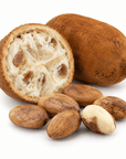 Cupuacu (Cupuassu) Butter - Wholesale - The SkinScience Company