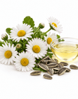 Daisy Flower Oil - Wholesale - The SkinScience Company