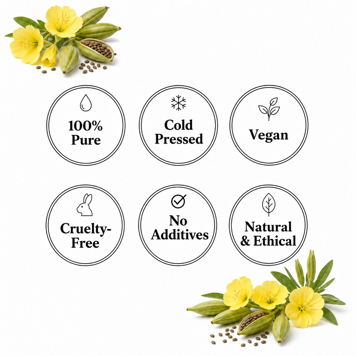 Evening Primrose Oil - The SkinScience Company