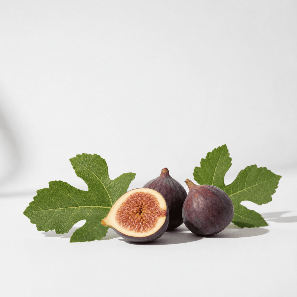 Fig Oil - The SkinScience Company