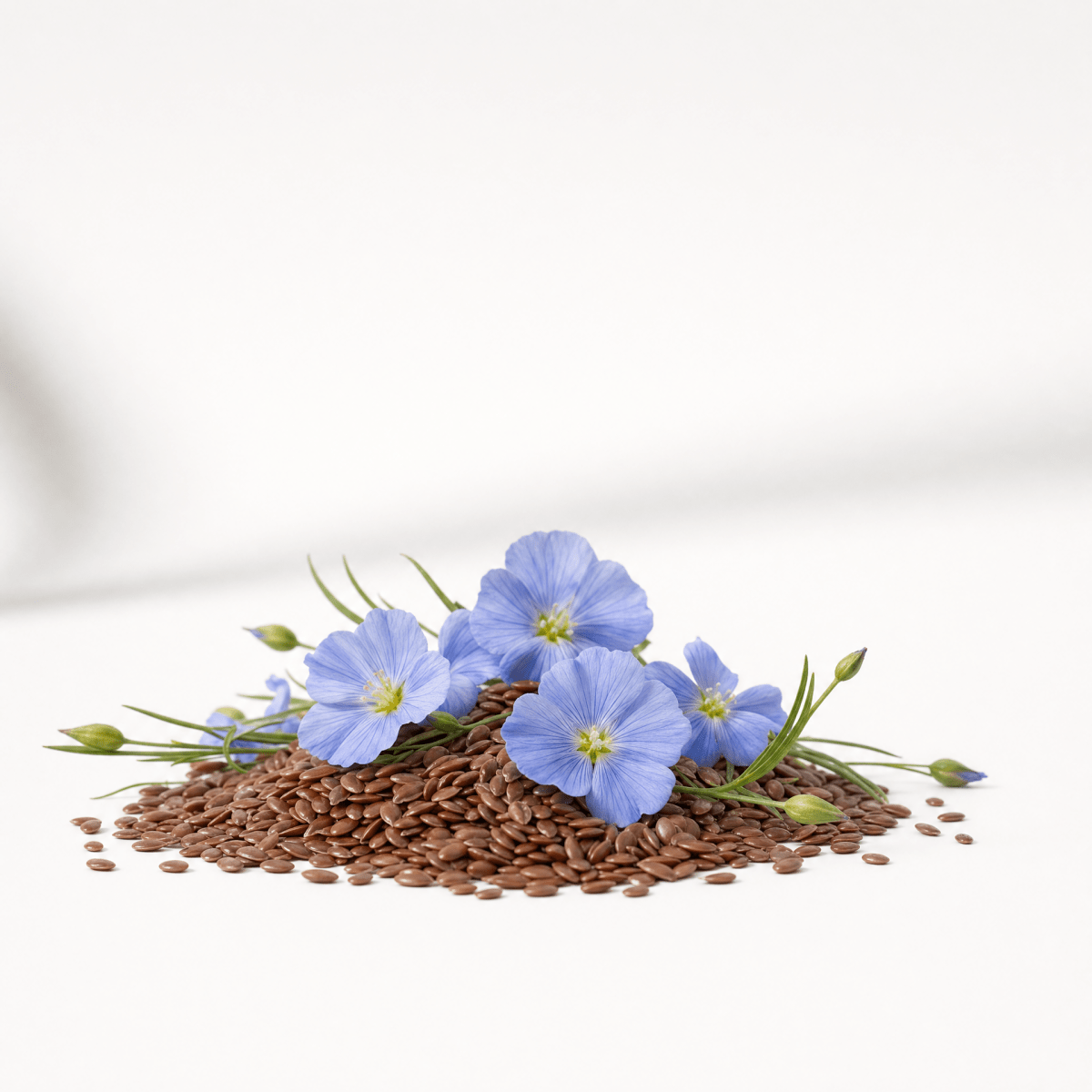 Flaxseed Oil - The SkinScience Company