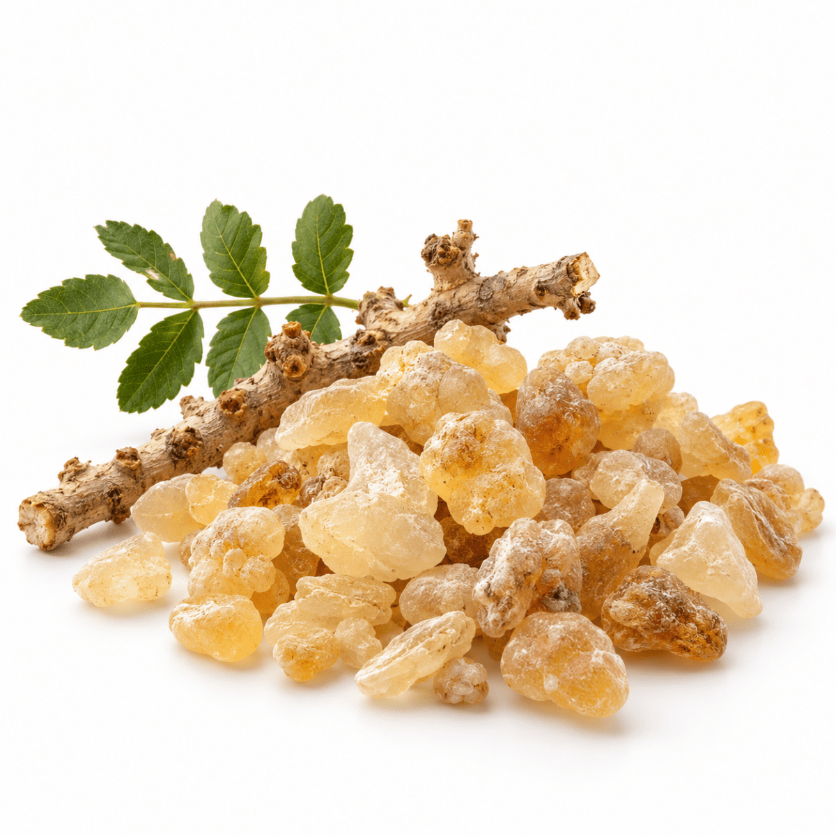 Frankincense Essential Oil - Wholesale - The SkinScience Company